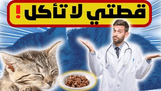 قطتي لا تأكل ! أسباب فقدان الشهية عند القطط ! علاج فقدان الشهية لدى القطط