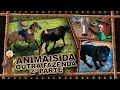 Animais da outra Fazenda - Dia na Roça -