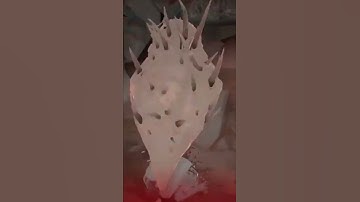 Jay vs Boulder (Shorts)