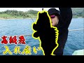 高級魚が入れ食いする場所を発見した!!