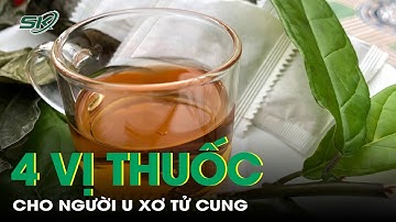 4 Vị Thuốc Hỗ Trợ Điều Trị U Xơ Tử Cung | SKĐS