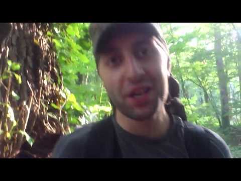 ლაშქრობა ლაგოდეხის ნაკრძალში