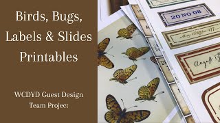 Full New Project Introduction: 'Birds & Bugs' - Guest Design Team Project for Whichcraft Do You Do News