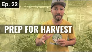 BuildASoil: GETTING READY TO HARVEST (Season 3, Episode 22)