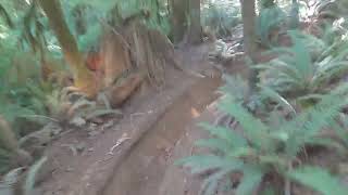 Tacoma Trail Cruisers 49th Smuggler Poker Runs