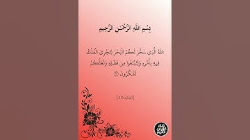 ما تيسر من سورة ( الجاثيه ) تلاوة الشيخ ماجد الزامل