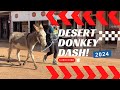 Schieffelin Days &amp; The Donkey Dash! + Tombstone Mayor responds to my April Fools Video