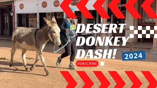 Schieffelin Days & The Donkey Dash! + Tombstone Mayor responds to my April Fools Video