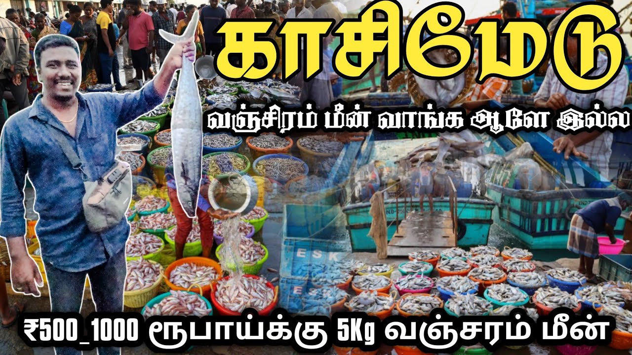 Chennai Kasimedu Fish Market💥 மீன் ஏலம் Kasimedu Fish Market Low  Price Immanvlogs  