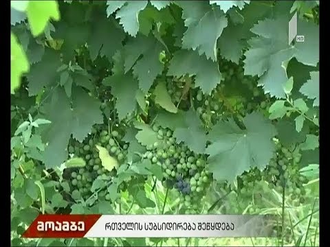 რთველის სუბსიდირება შეწყდება