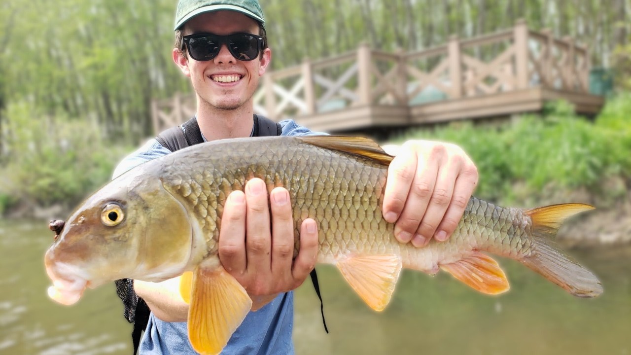 Spring Fishing For BIG Suckers (With Eli)