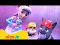 رابل رابل يلتقي بنجمة بوب Nick Jr Arabia 