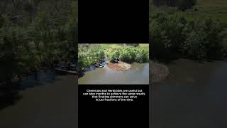 Manually Removing Azolla with Anaconda Booms #pondcleaning #azollafarming #pondtips #pondsupplies