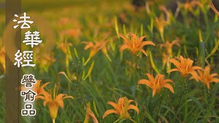 【靜思妙蓮華】法華經譬喻品 - 觀身不淨 業種為因 - 20210303 第707集