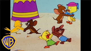 Tom y Jerry en Español 🇪🇸 | Jerry y Quacker, amigos para siempre | @WBKidsEspana​