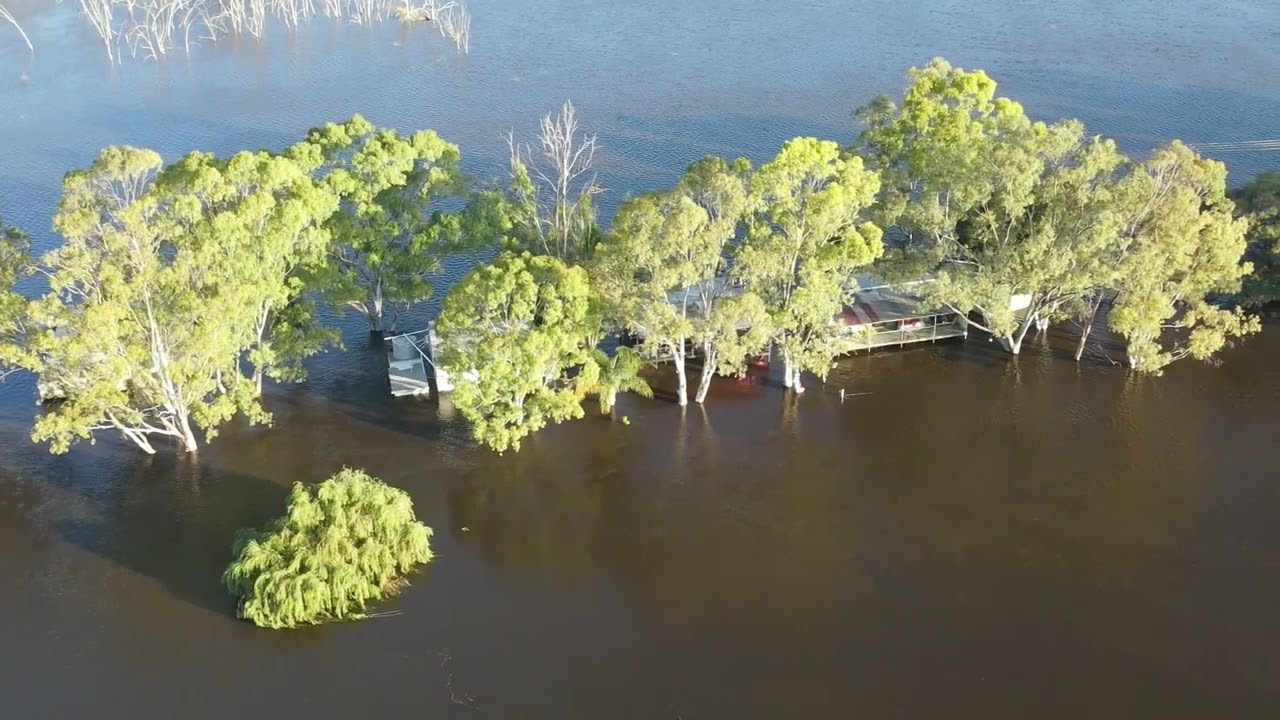 Murray River + Flood