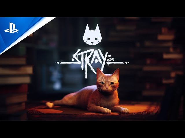 Controle um gato de rua em Stray, já disponível para PC e PlayStation