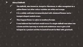 March Birth Flower