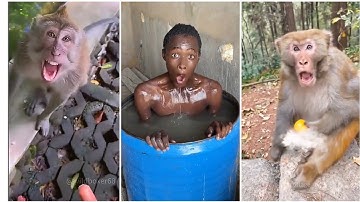 Best Fails of The Week: Funniest Fails Compilation: Funny Video | FailArmy part - 68