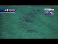 A pod of dolphins spotted off the coast of Volusia County