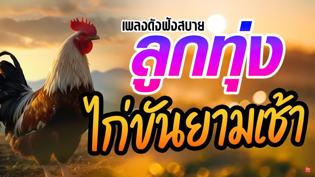 เพลงลูกทุ่งดังฟังสบายไก่ขันยามเช้า #เสียงดี
