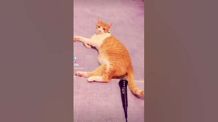 La scoreggia più potente del mondo! 😂🤣😝 #peppeottanta80 #shortviral #cat