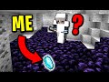 Disguise trolling minecraft noob