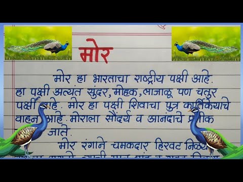 essay on peacock in marathi for class 4
