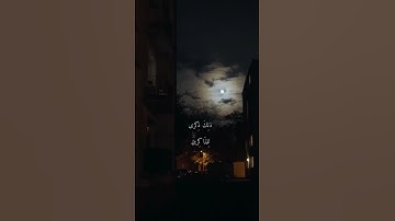 تلاوة خاشعة من سورة هود بصوت القارئ ياسر الدوسري | حالات واتساب دينية