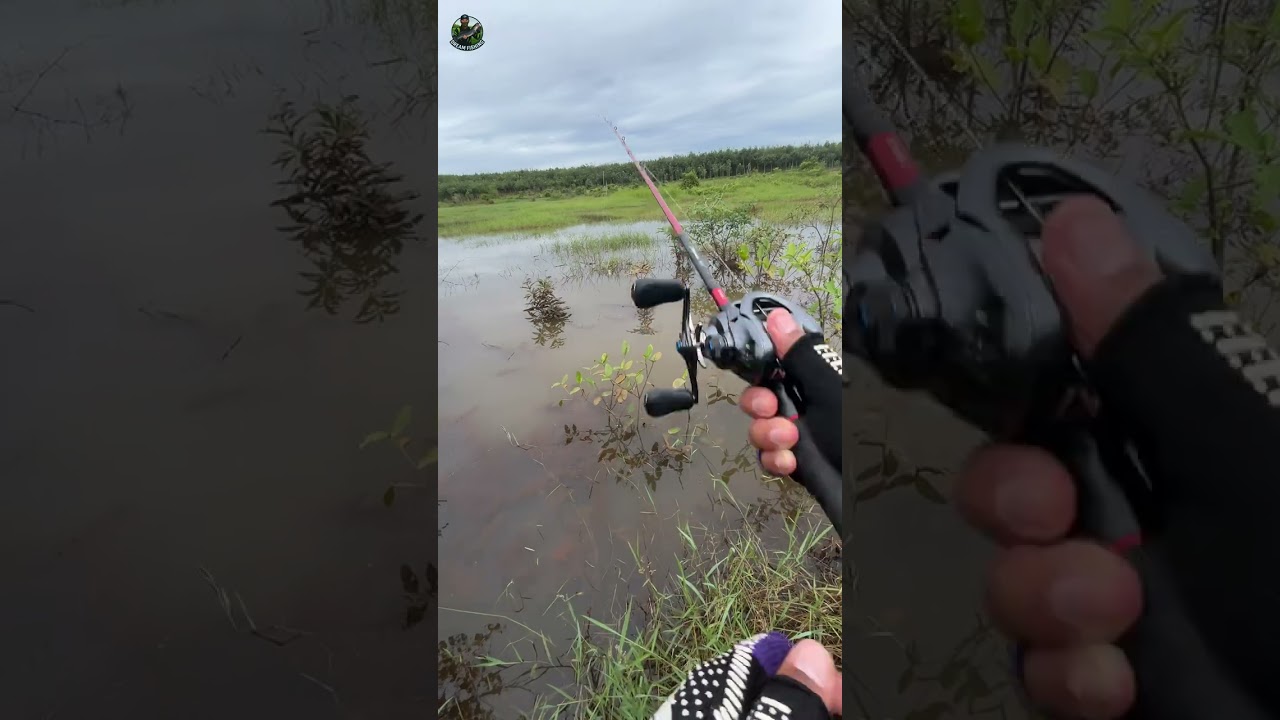 វគ្គអំបិល😂😂