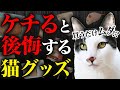 【ケチると後悔…】ココだけは削っちゃダメ…!猫の飼育で節約してはいけないグッズ。