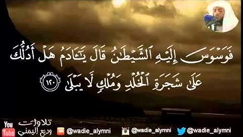 تلاوة من سورة طه بصوت الشيخ وديع اليمني