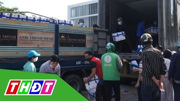 Người Đà Nẵng thuê xe tải, đội nắng mua vải thiều hỗ trợ nông dân Bắc Giang | THDT