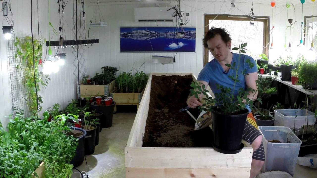 indoor garden bed indoor garden bed