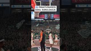 🇬🇷 Panathinaikos. OAKA. Euroleague. Ergin Ataman.