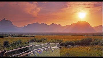 NEMO CELL FILE CREATION VIDEO