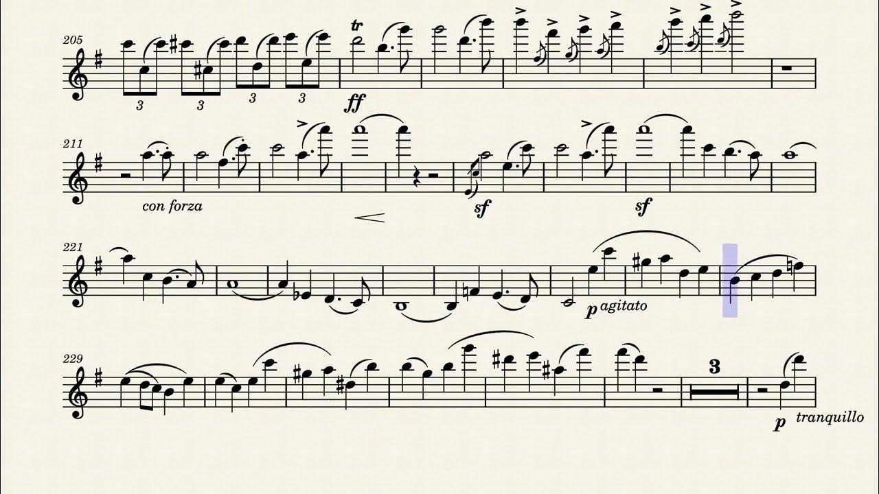 Mendelssohn flute concerto in eminor op. 64 Flute Music Sheet YouTube