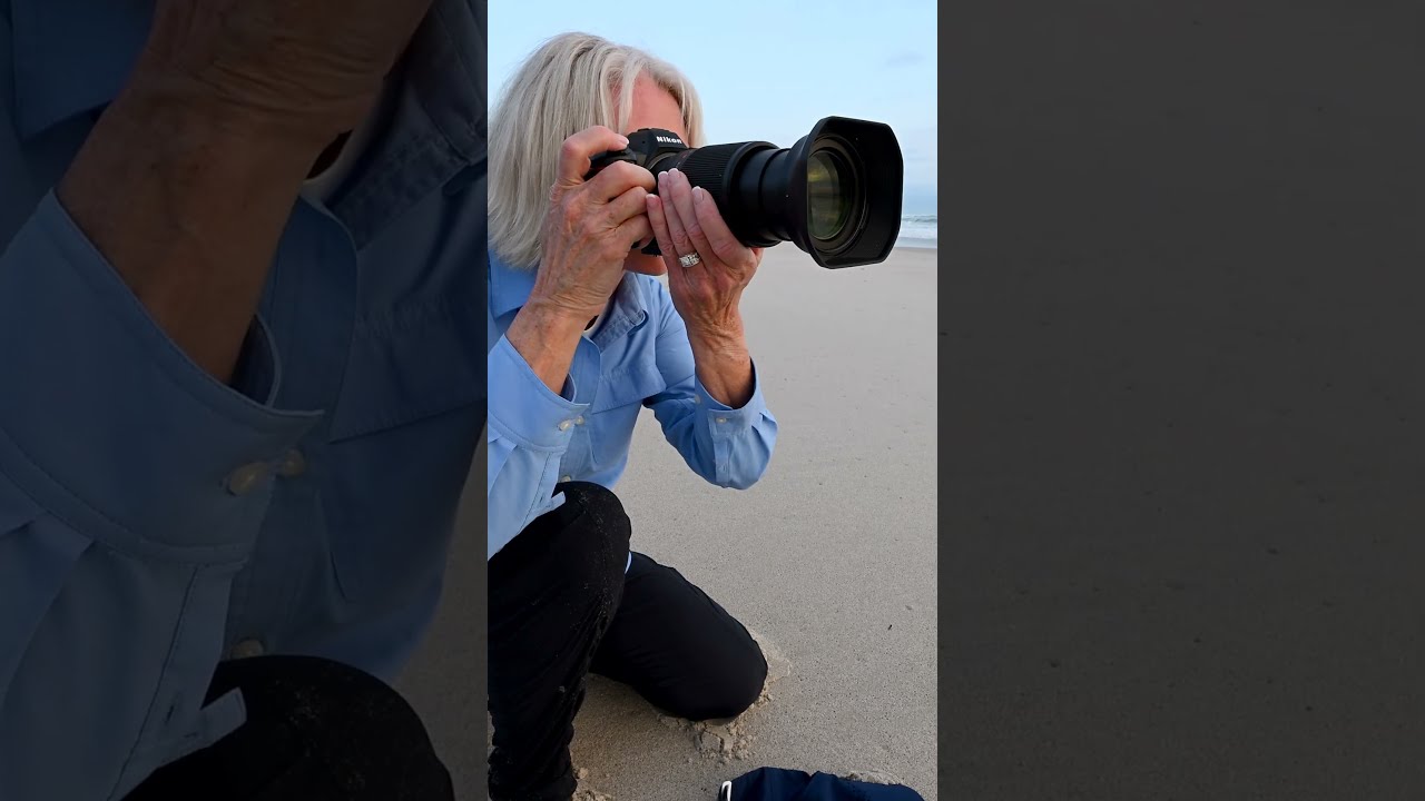 Why You Ll Love The Z6III For Bird And Landscape Photos Video