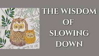 Color Chat The Wisdom of Slowing Down Proverbs Coloring in My Inspire Prayer Bible