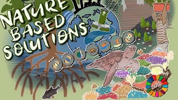 What are Nature-Based Solutions? Part 1