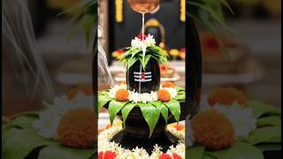 Jai bhole nath 🌺🌺🙏🙏 #shera sivsambhoo HAR har Mahadev #sawanspecial