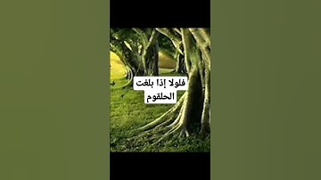 فلولا إذا بلغت الحلقوم القارئ محمد نبيل السوبى صلاة الفجر