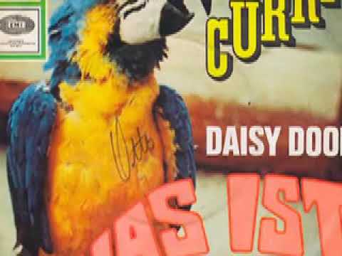 Daisy Door — Daisy Door - Curry