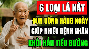 PHÉP LẠ Cho Người Bị Tiểu Đường : 6 loại Lá TIÊU DIỆT BỆNH TIỂU ĐƯỜNG, Cholesterol xấu và BỤNG MỠ!