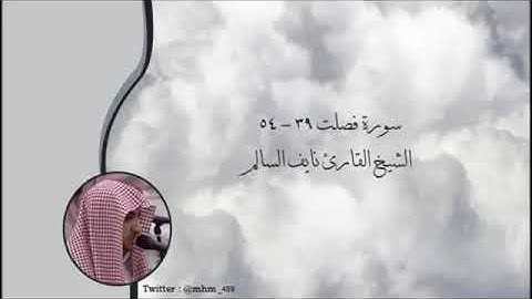 تلاوة رائعة للشيخ نايف السالم من سورة فصلت