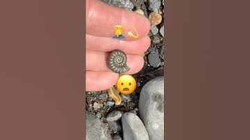 Fossil Hunting Fail & Surprises!#fossilhunter#ammonites#failsvideo