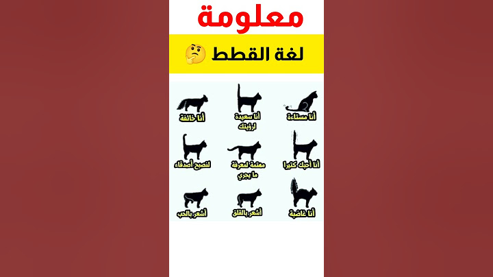 عجائب و غرائب الحيوانات ، لغة القطط . #ثقافة_عامة #معلومات