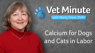Calcium for Dogs and Cats in Labor