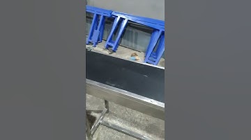 Ss Coding Conveyor | SG Conveyors & Automations. #conveyor #automation #codingconveyor