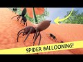 Jumping Spider Lifecycle Walkthrough | Part 2 | Drunk On Nectar Gameplay